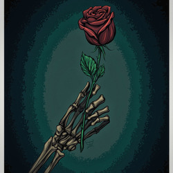 skeleton & rose