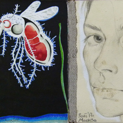 что-то не то творится