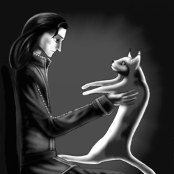 Человек и кошка