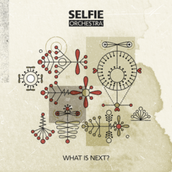 Selfie Orchestra: What is Next?