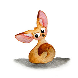 Fennec fox