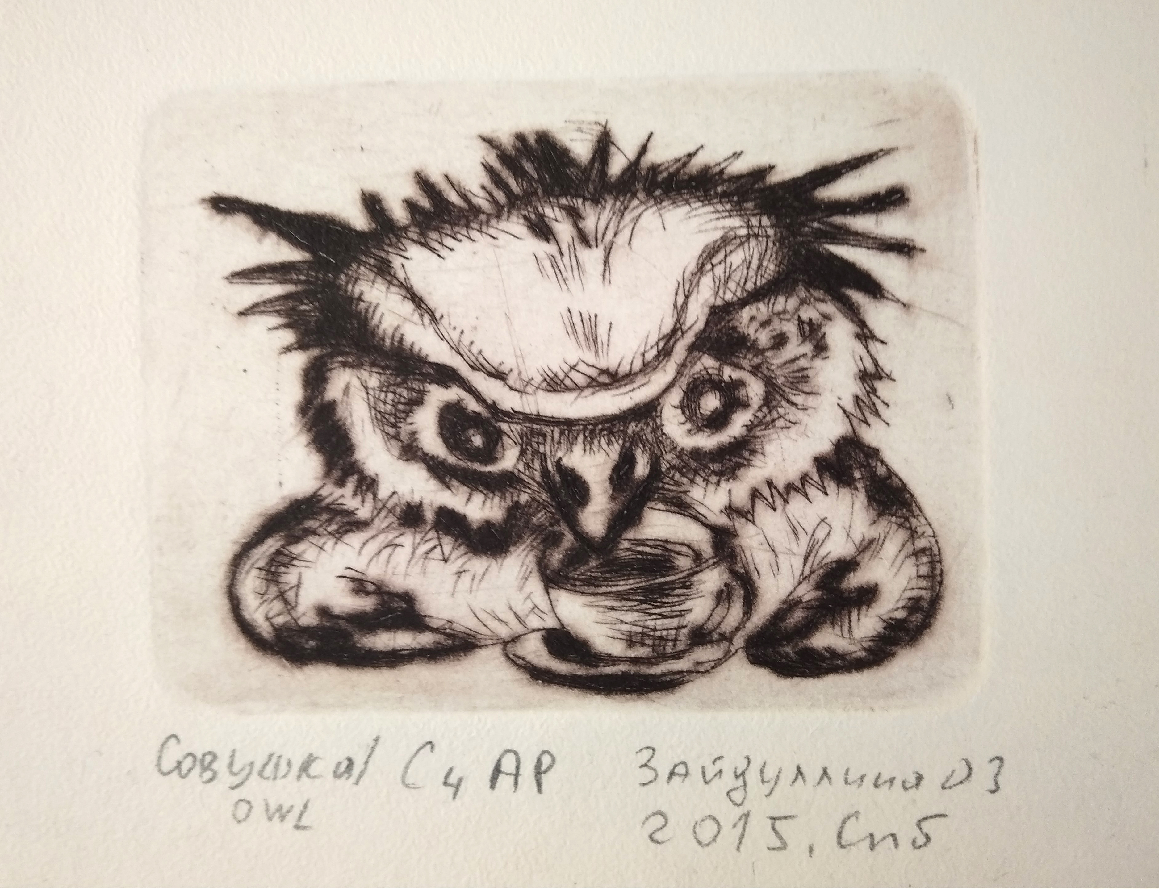 Иллюстрация Сонная сова с кофе. Офорт. Печатная графика в стиле