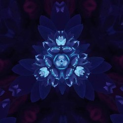 Kaleidoscopic Flower