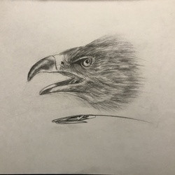 рисунок карандашом