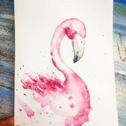 Flamingo 