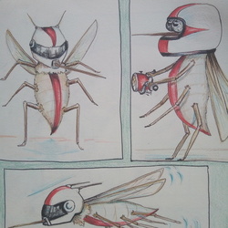 комар в шлеме матоциклиста летит на ужин