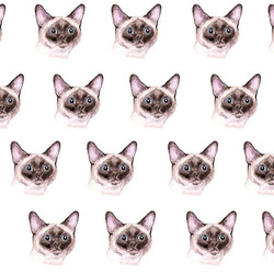 принт сиамский кот