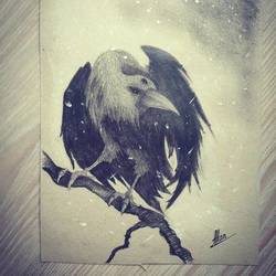 "Трехглазый ворон"