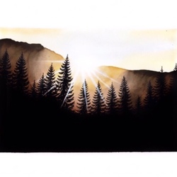 Рассвет в лесу