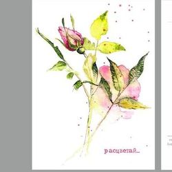 открытка "цветок шиповника"