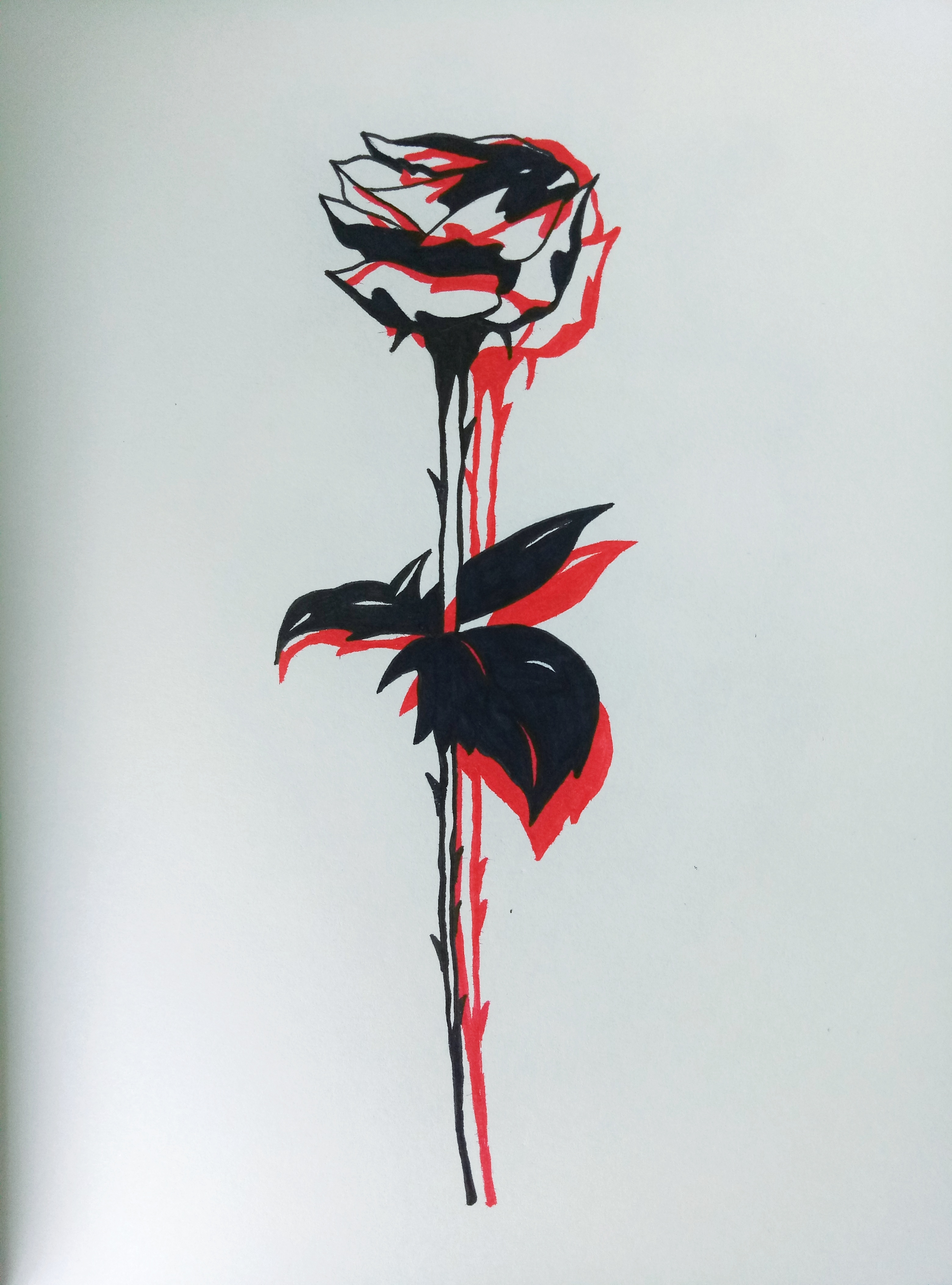 Иллюстрация Черная роза в стиле графика | Illustrators.ru