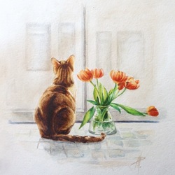 кошка и тюльпаны
