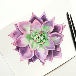 Суккулент - природная красота