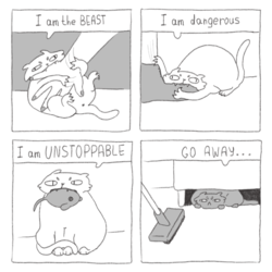 cat comics