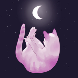 Moon cat