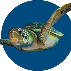 Полигональное изображение черепаха