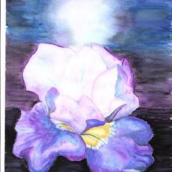 Лунный цветок