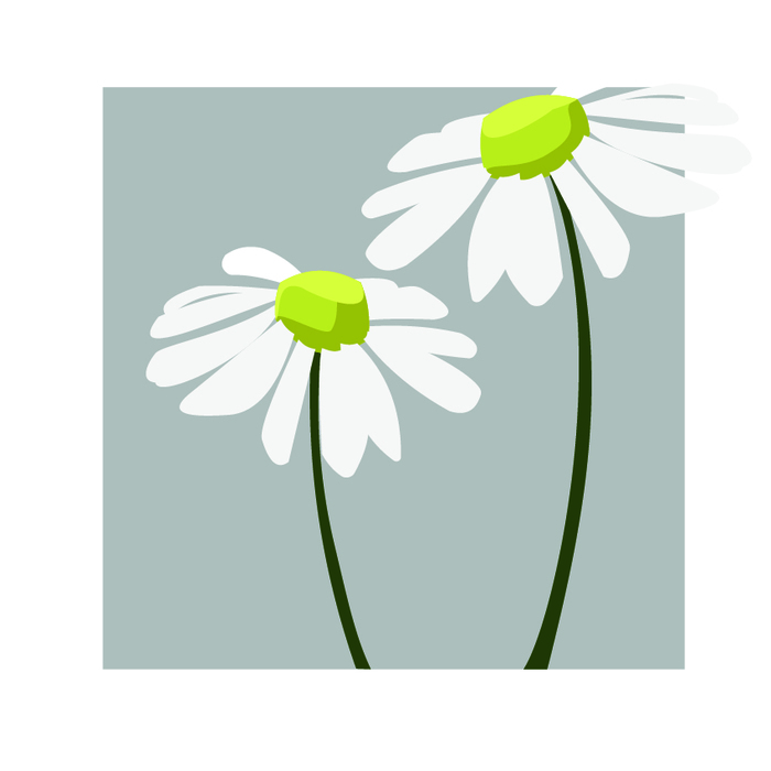 Ромашки пинтерест рисунок