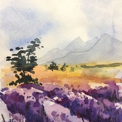 "утро в лаванде"