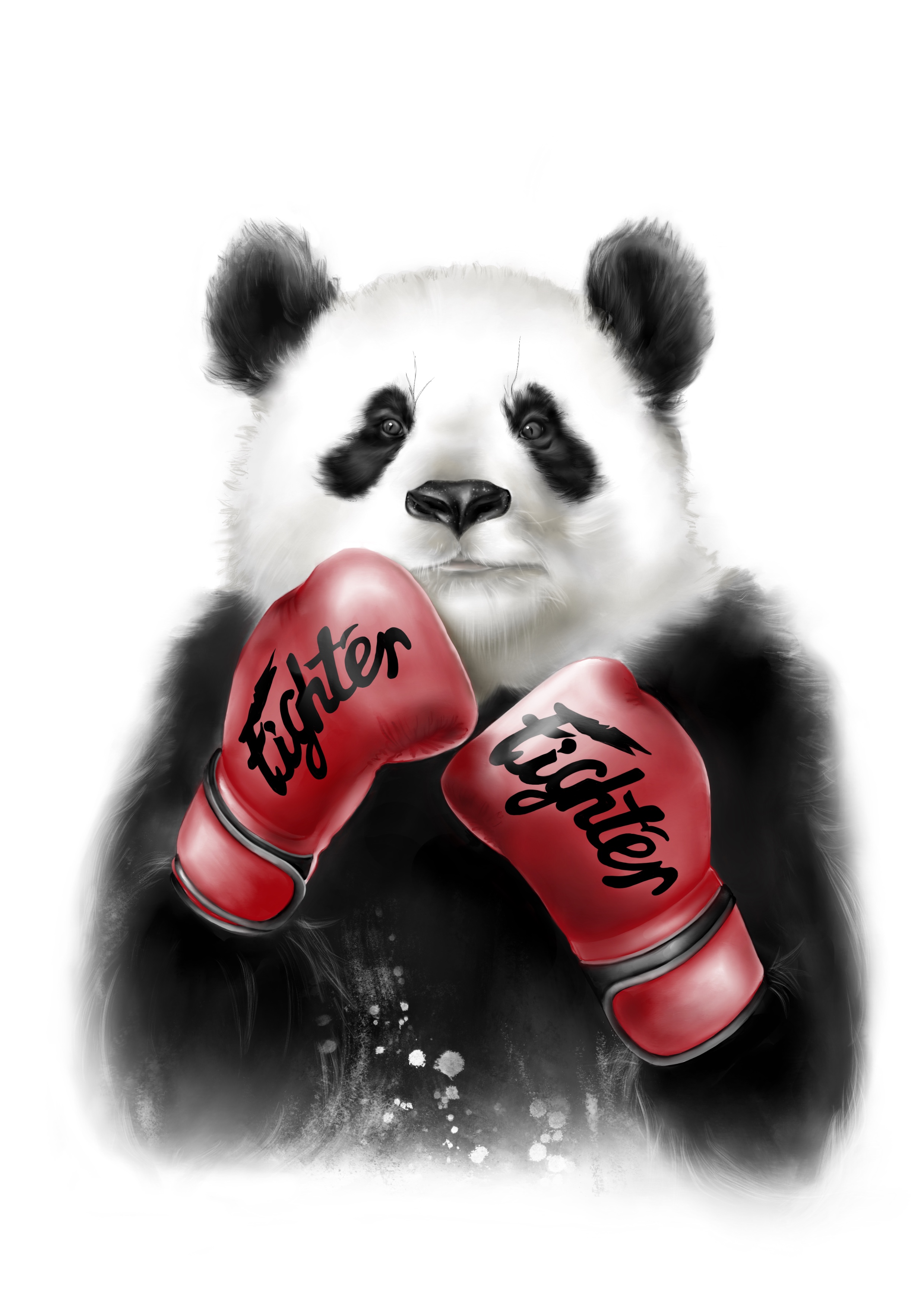 Панда в боксерских перчатках