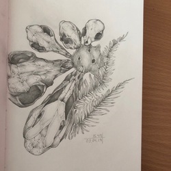 Эскиз тату с черепами