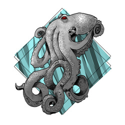 Octopus