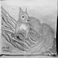 Белка на дереве