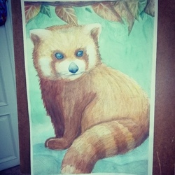 Красная панда