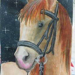 Звездная лошадь