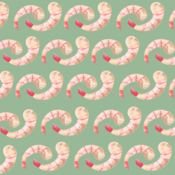 Shrimp pattern