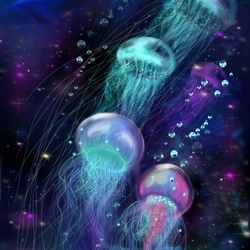 Парад медуз