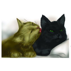 Просто котики