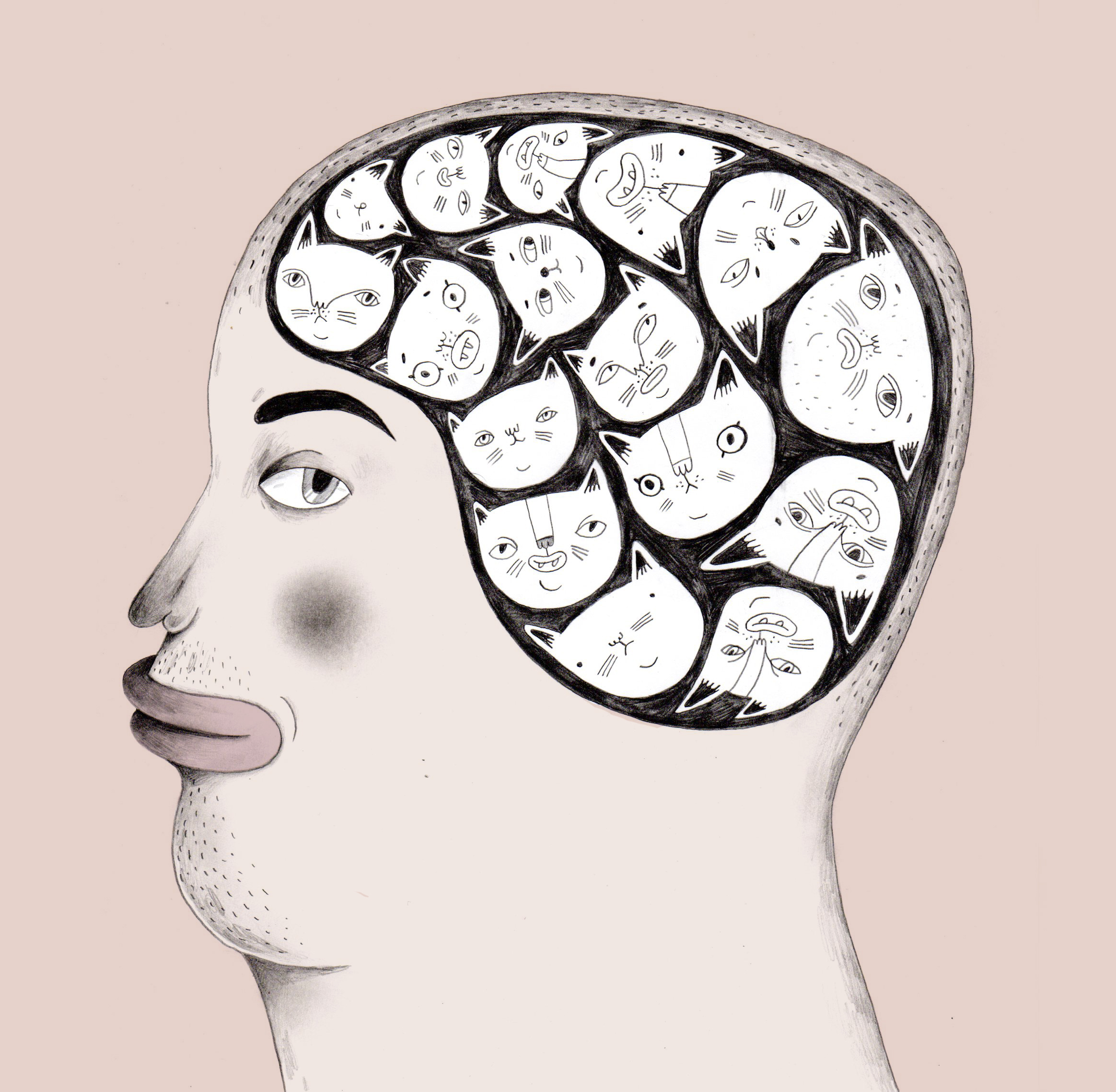 Иллюстрация Котизм головного мозга в стиле графика, книжная