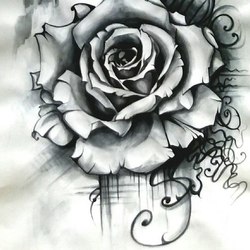 Роза, эскиз герба