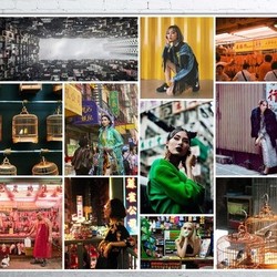 Mood board: Bird's Cage