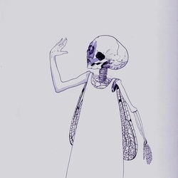 Скелет мотылька
