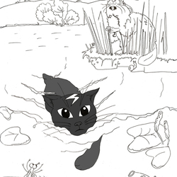 Котенок Зевс учится плавать