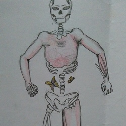 скелет с бабочками в животе