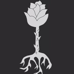 черно белая роза пускающая корни