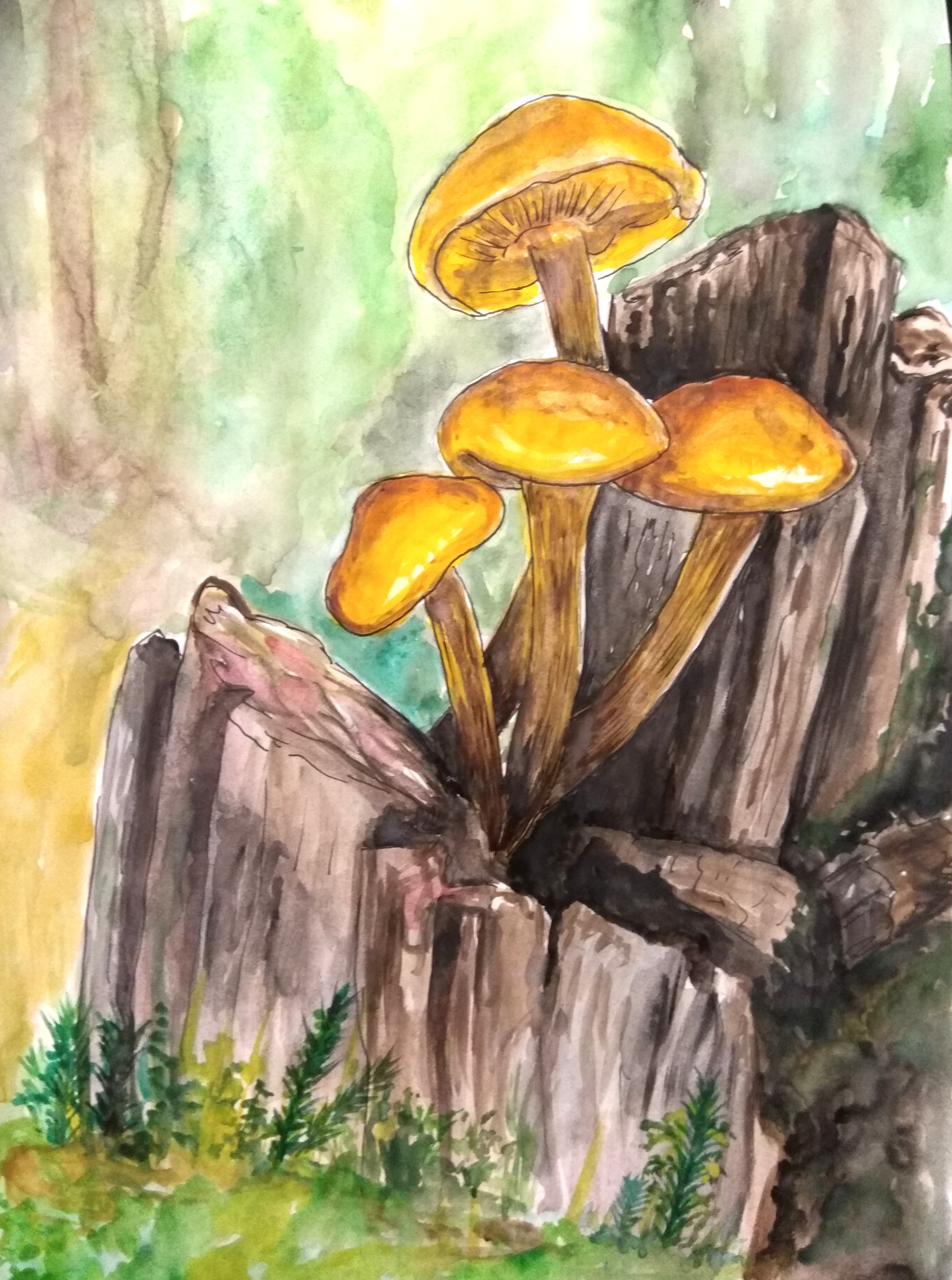 Рисование грибы
