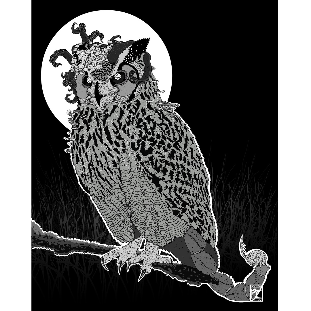 Сова Тэнтумус Тэнебрис