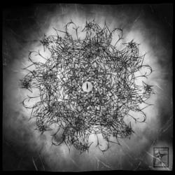 Мудрец Арвойтус