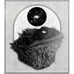 Кауда - бородатая агама-иллюзионист