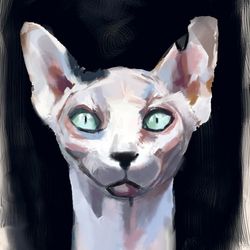 кот. digital art