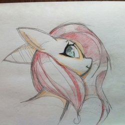 fluttershy. флаттершай. myl little pony