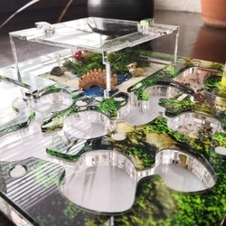 Ферма муравьев дает возможность посмотреть на жизнь муравьев изнутри