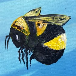 Полёт Шмеля (Voul De Bourdon)