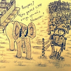 Откуда слон?