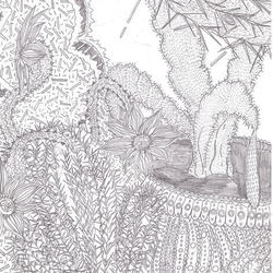 Кактусовые