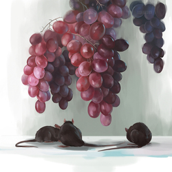 Grapes